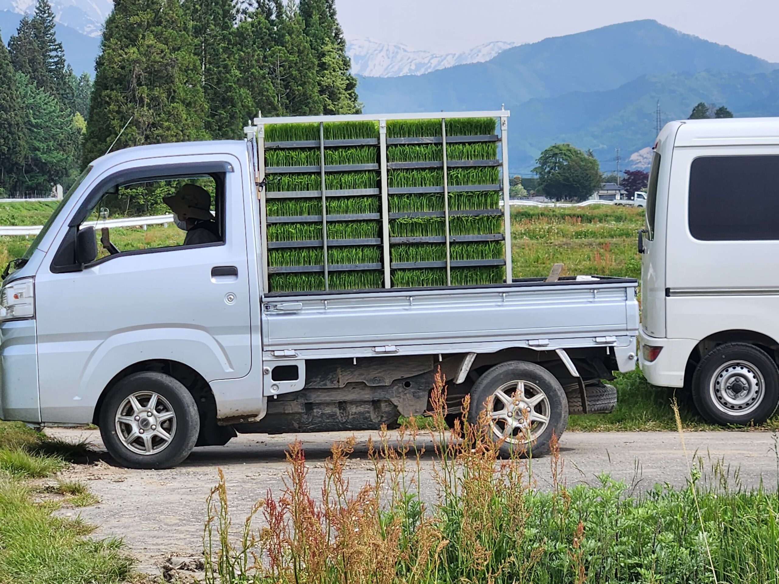 田植え_日本酒白馬錦