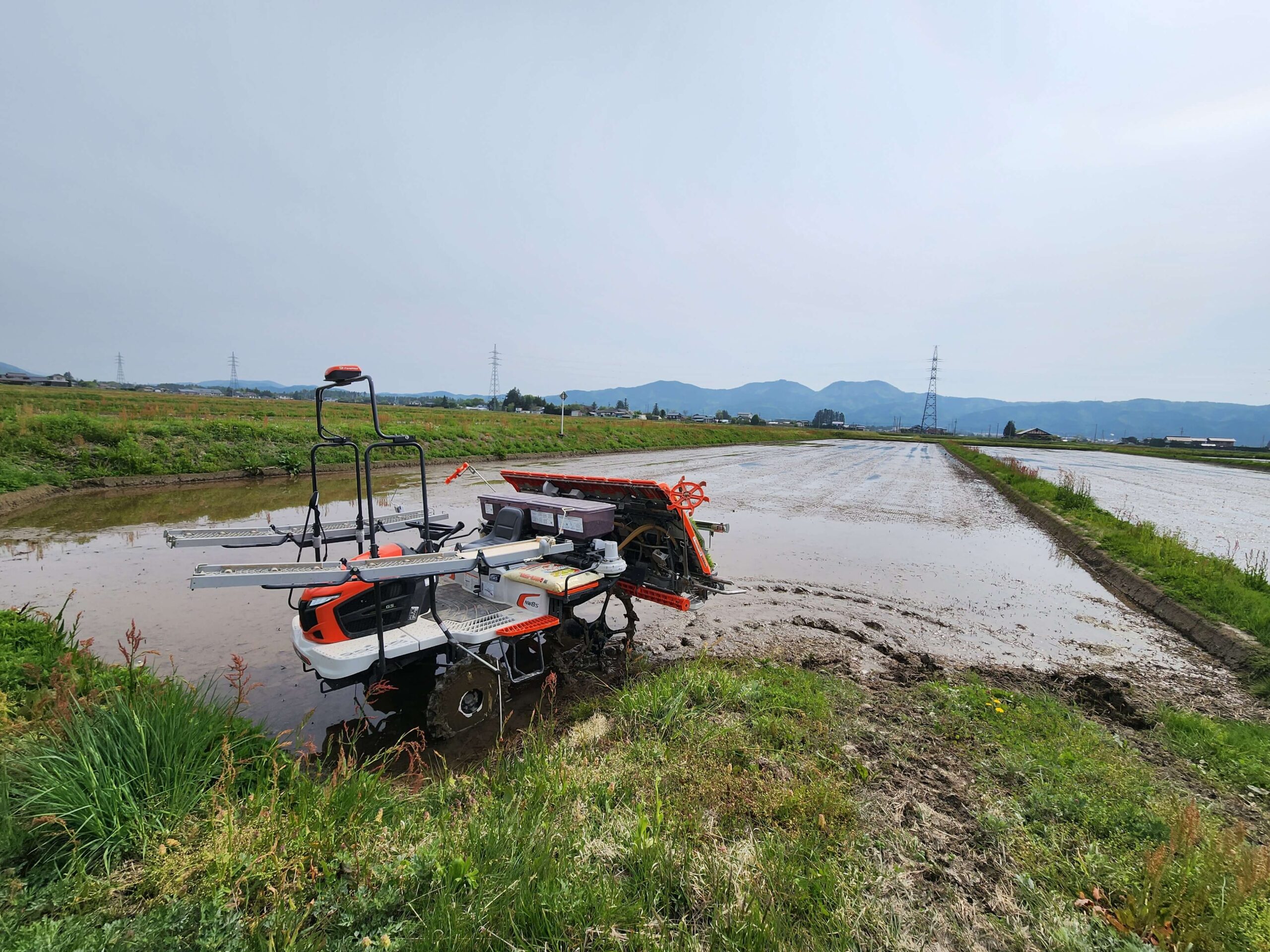 田植え_日本酒白馬錦
