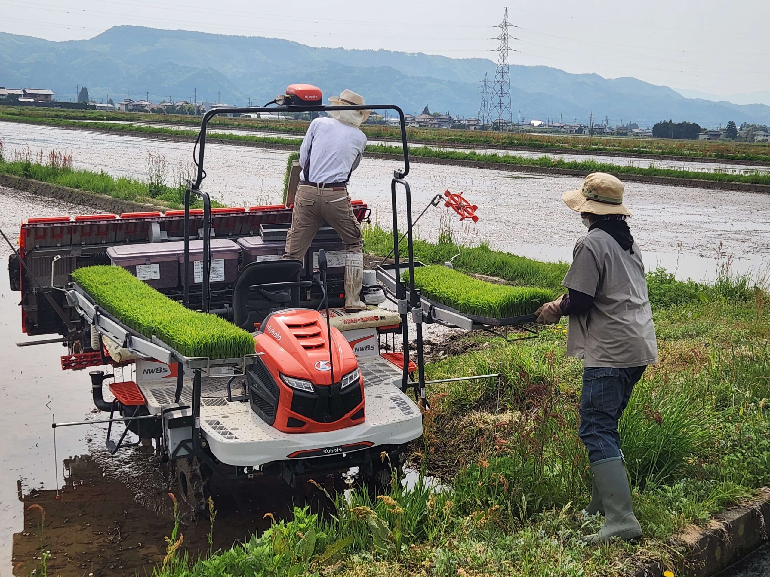 田植え_日本酒白馬錦