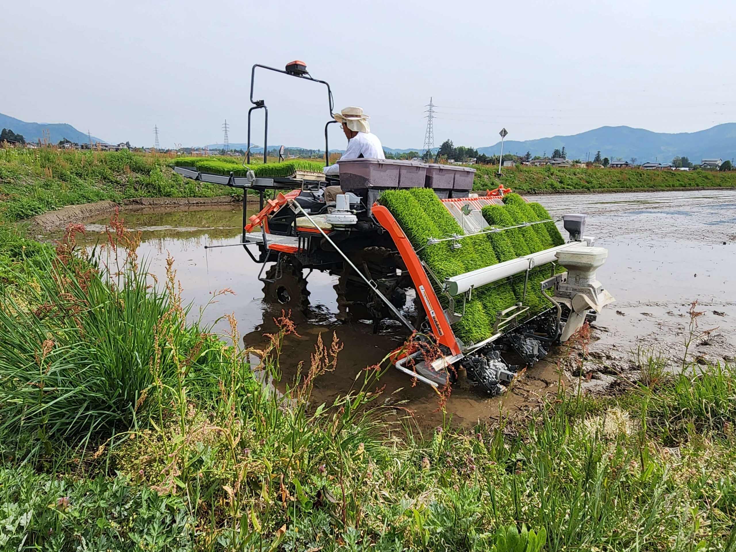 田植え_日本酒白馬錦