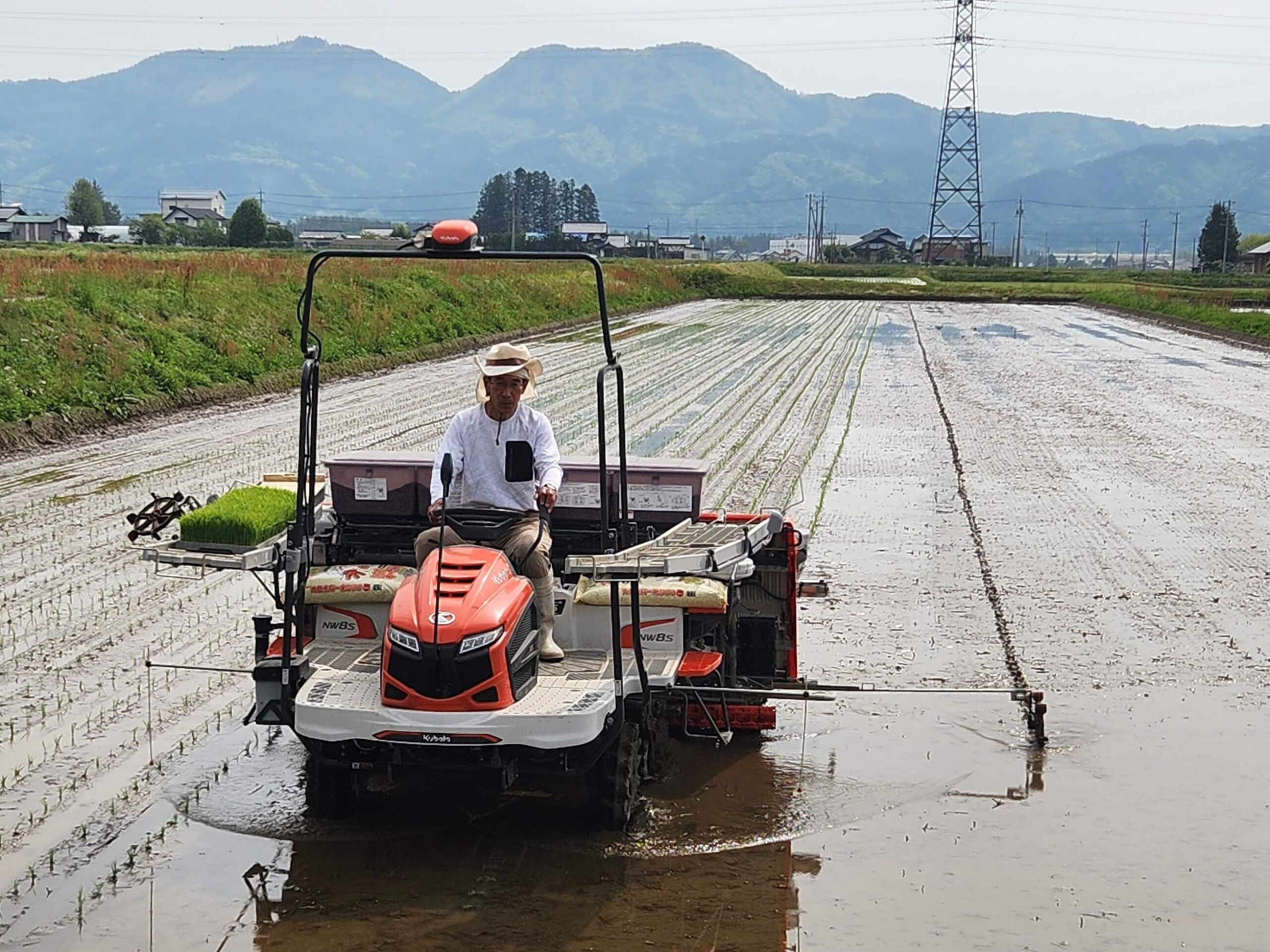 田植え_日本酒白馬錦