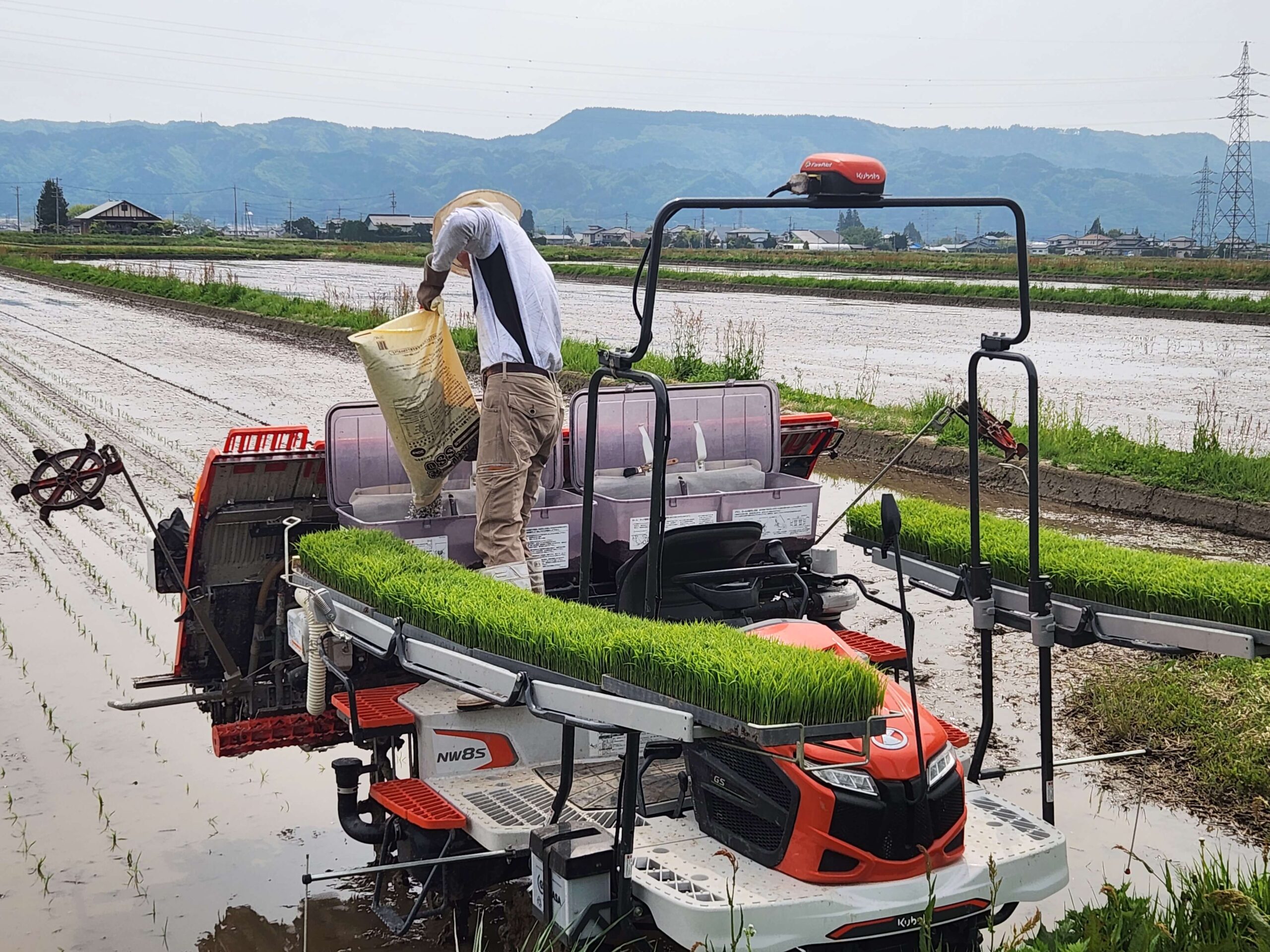 田植え_日本酒白馬錦