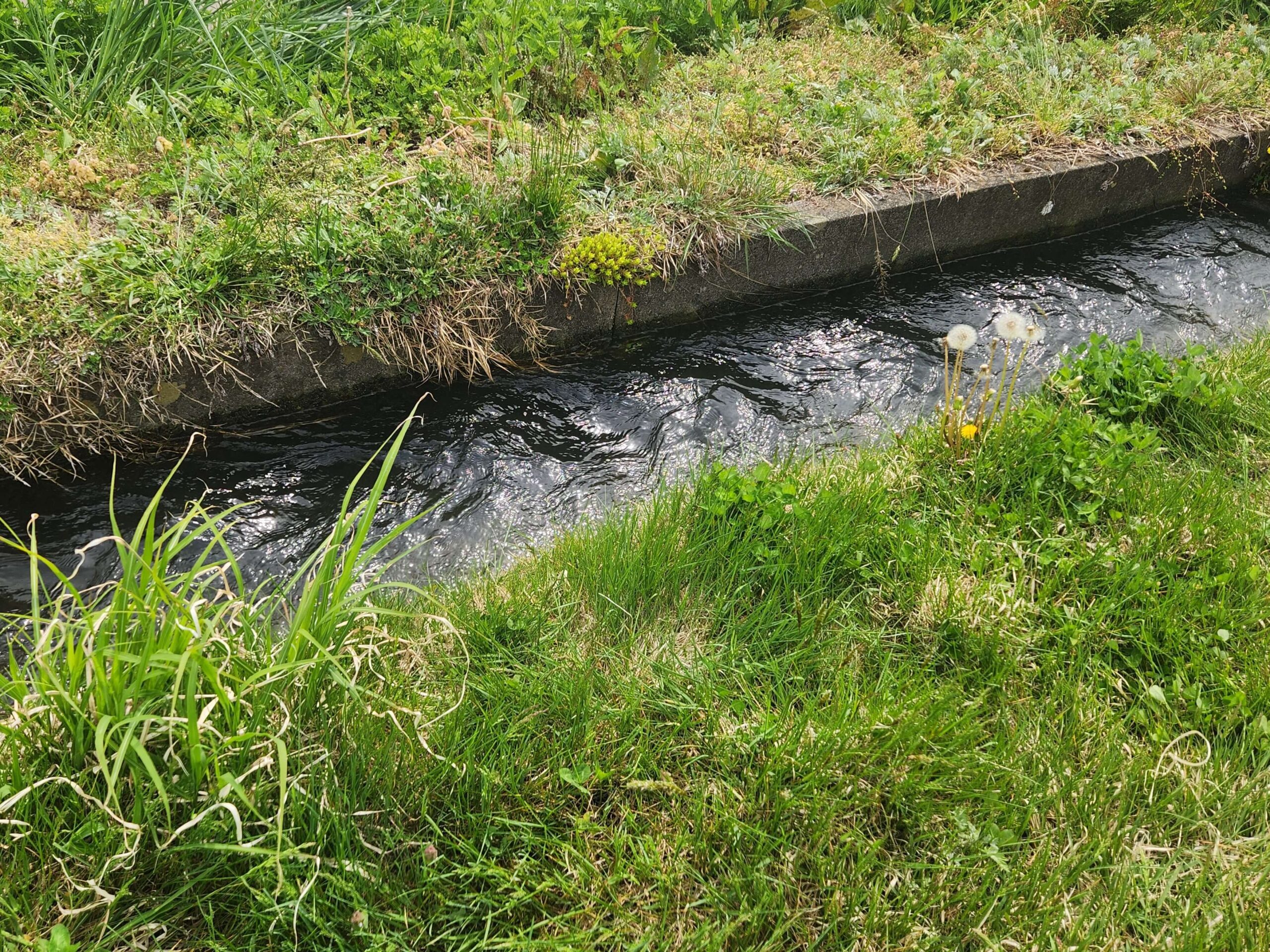 田植え_日本酒白馬錦