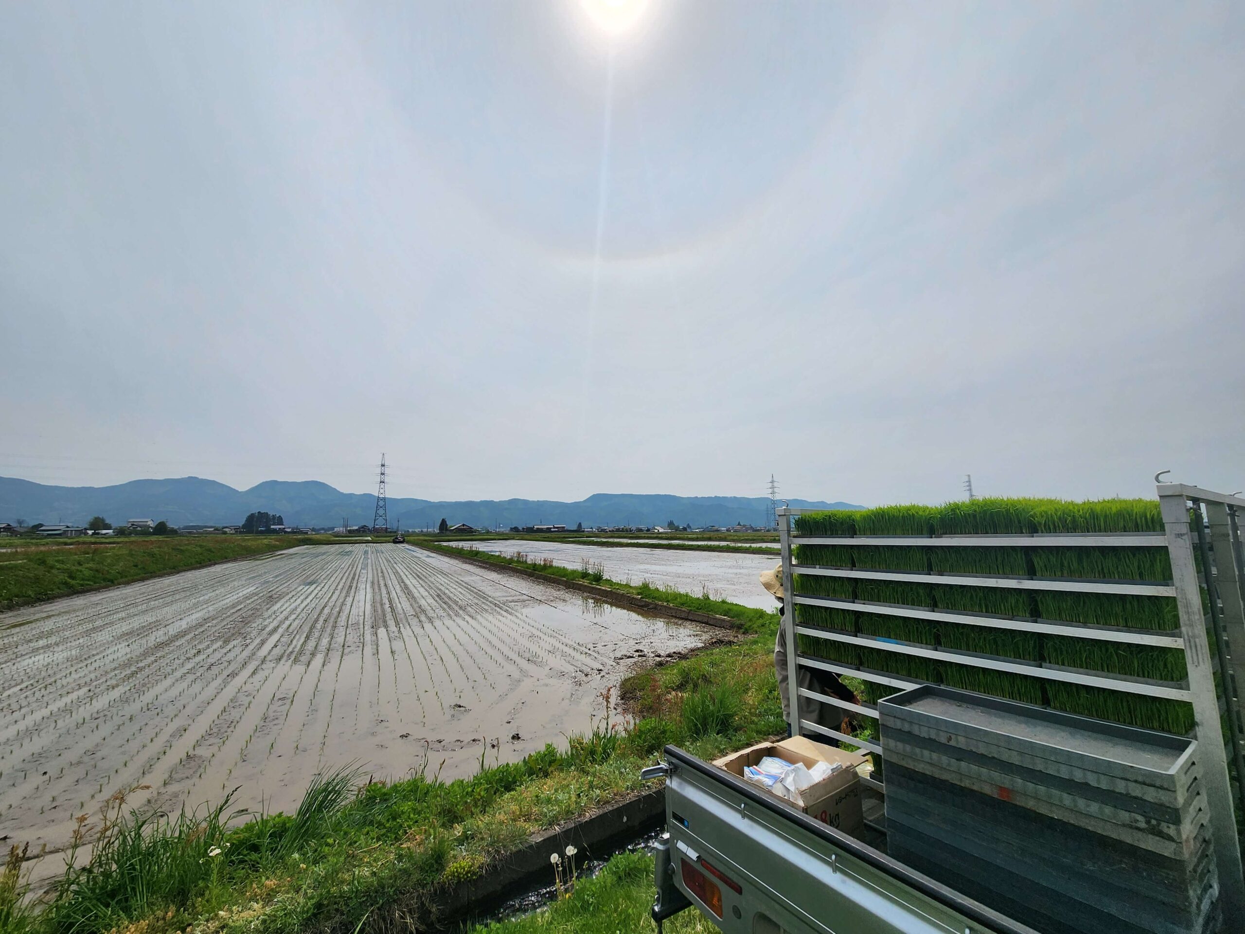 田植え_日本酒白馬錦