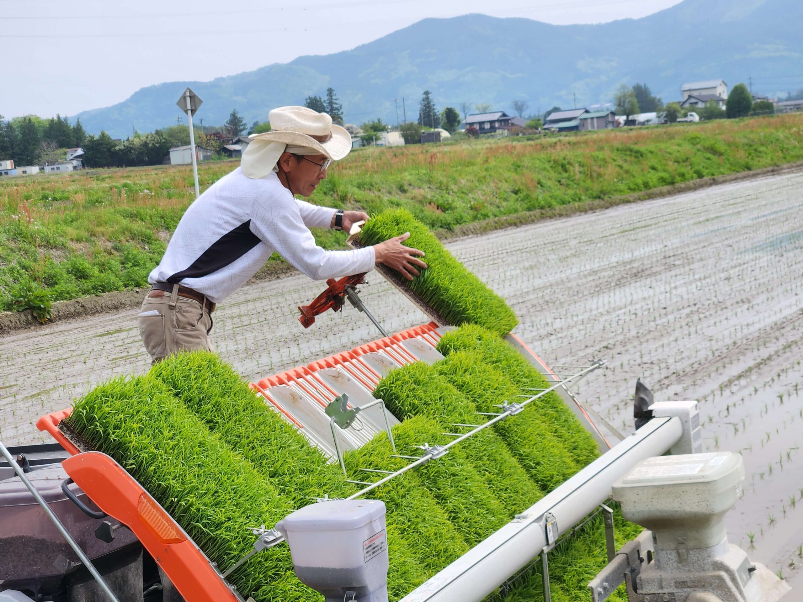 田植え_日本酒白馬錦