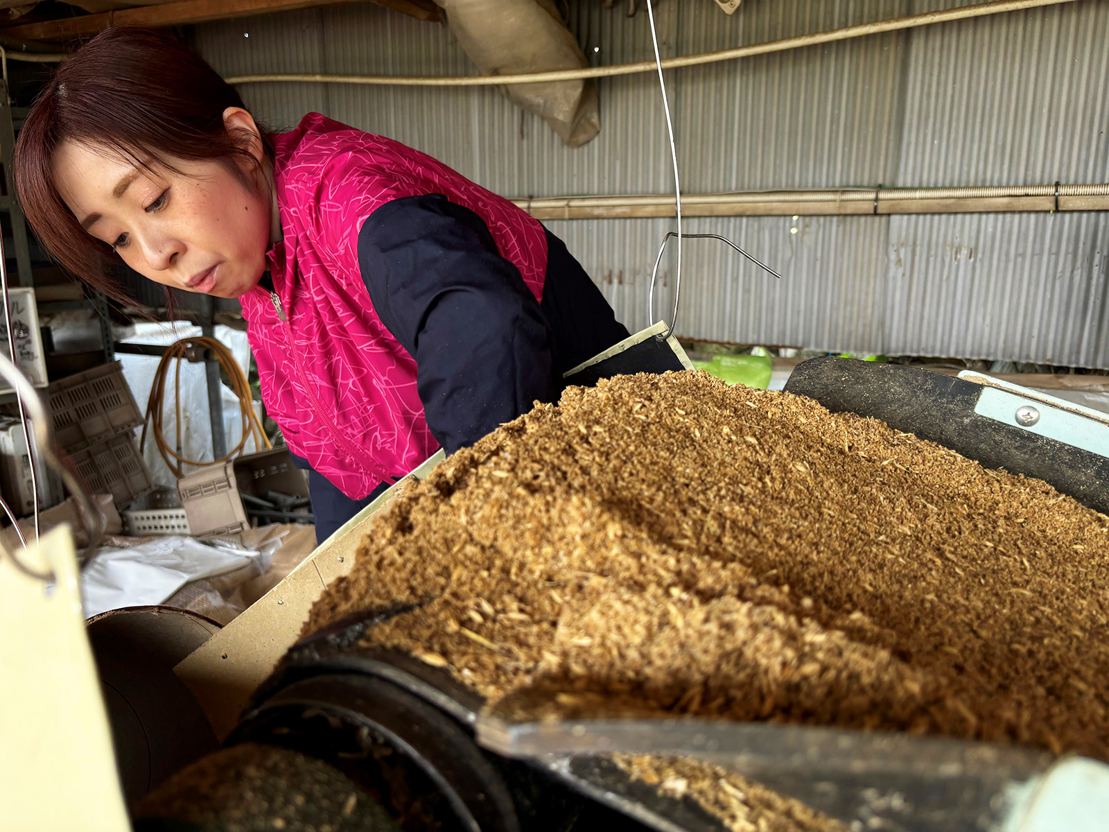 ぶどう農家_肥料づくり
