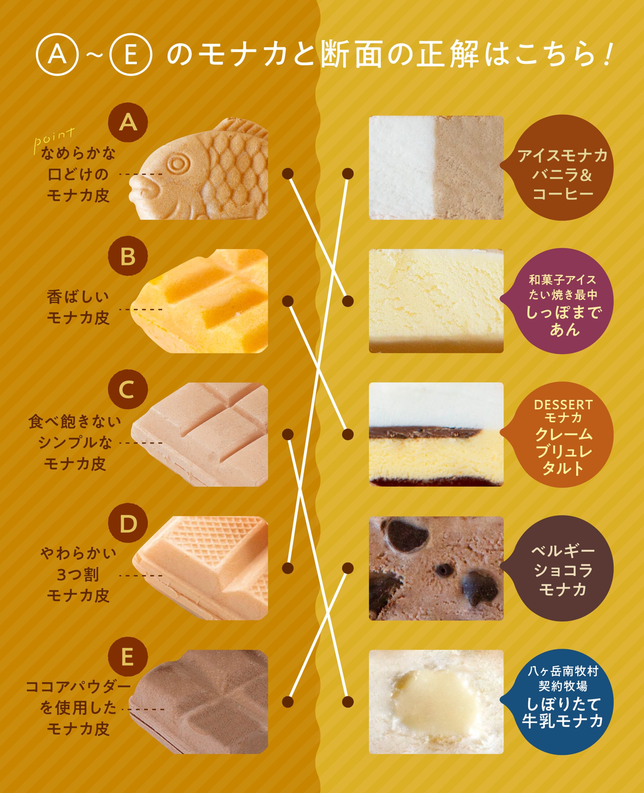 モナカアイス断面クイズ解答